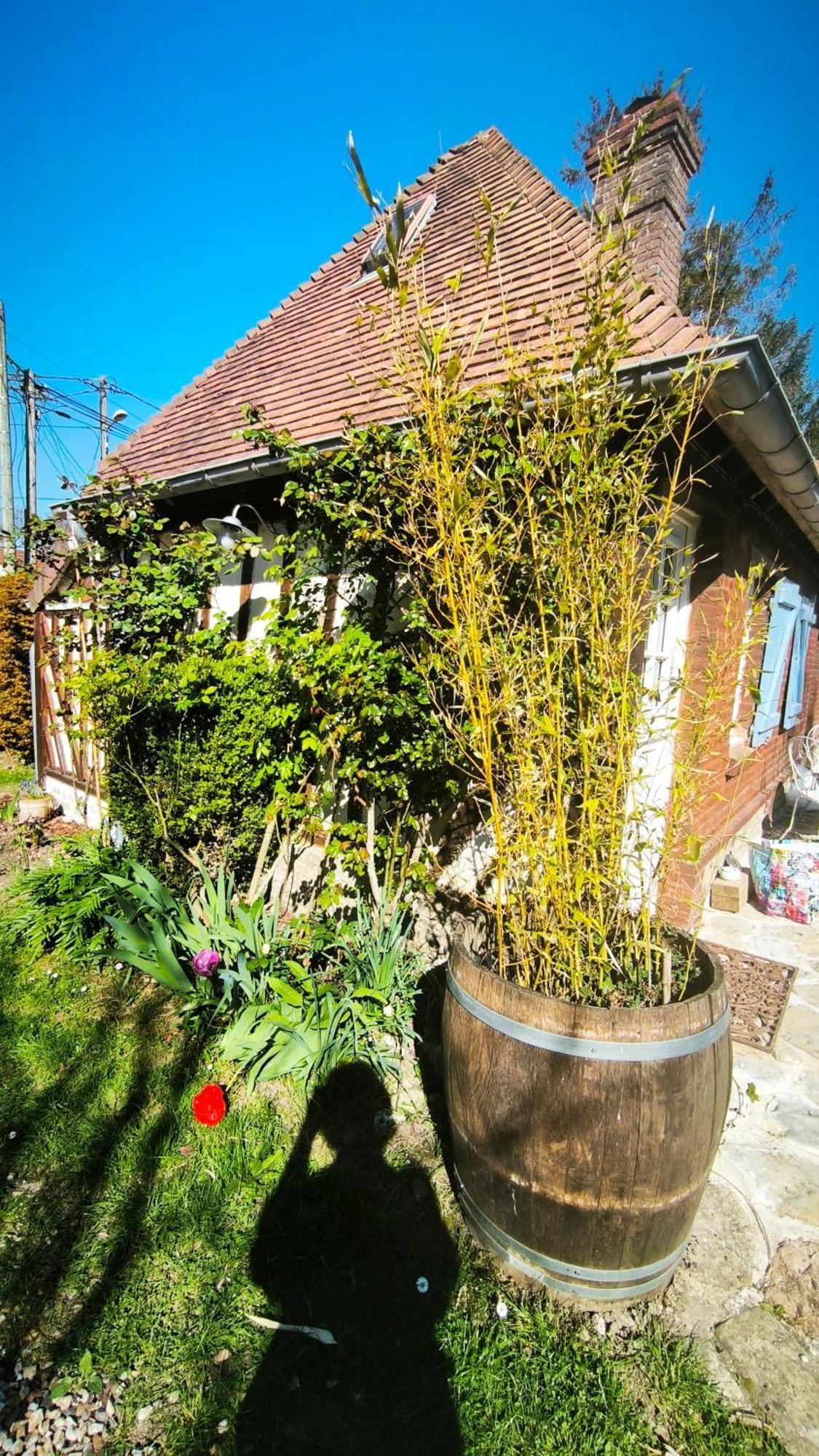 La Longere D'Auberville Exterior foto